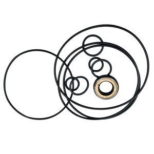 Swing Motor Seal Kit for CASE Loader 580G