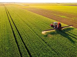 Organic fertilizer advantages and efficacy
