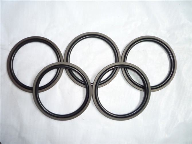Excellent Quality SPGO Seal 85*4.2 For Excavator Piston SPGO Seal