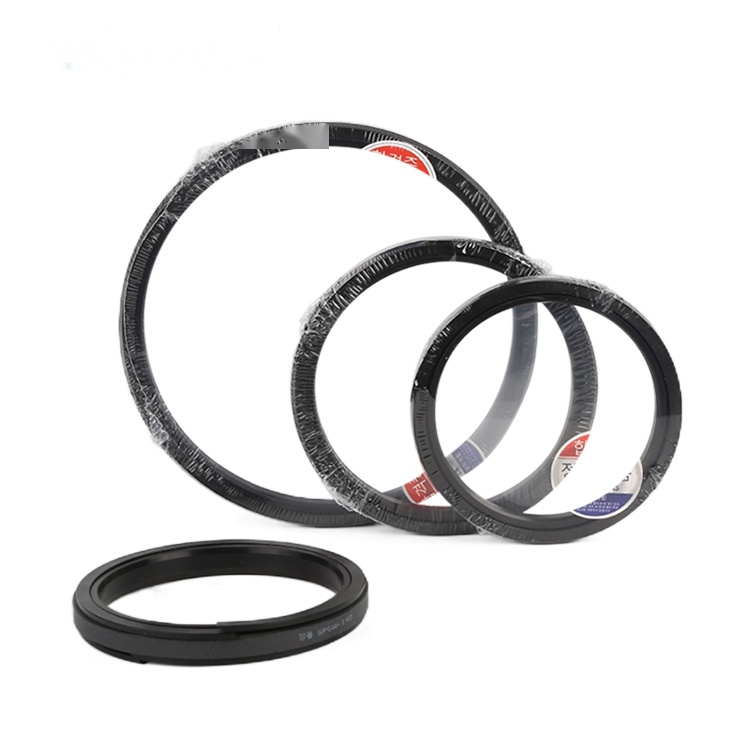Wholesale Price Hydraulic Piston SPGW Seal Excavator Cylinder SPGW Seal